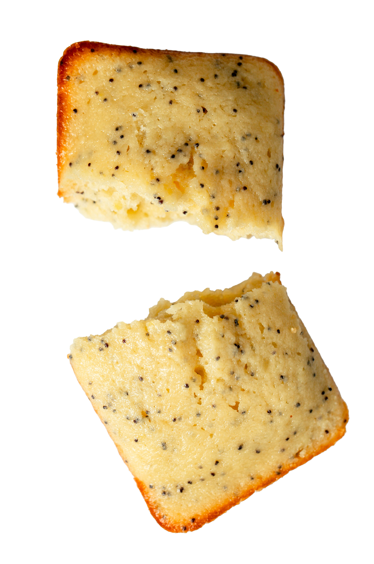 Lemon Poppy Seed