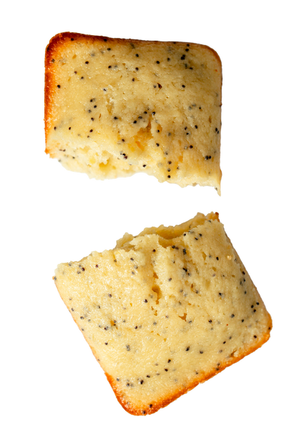 Lemon Poppy Seed